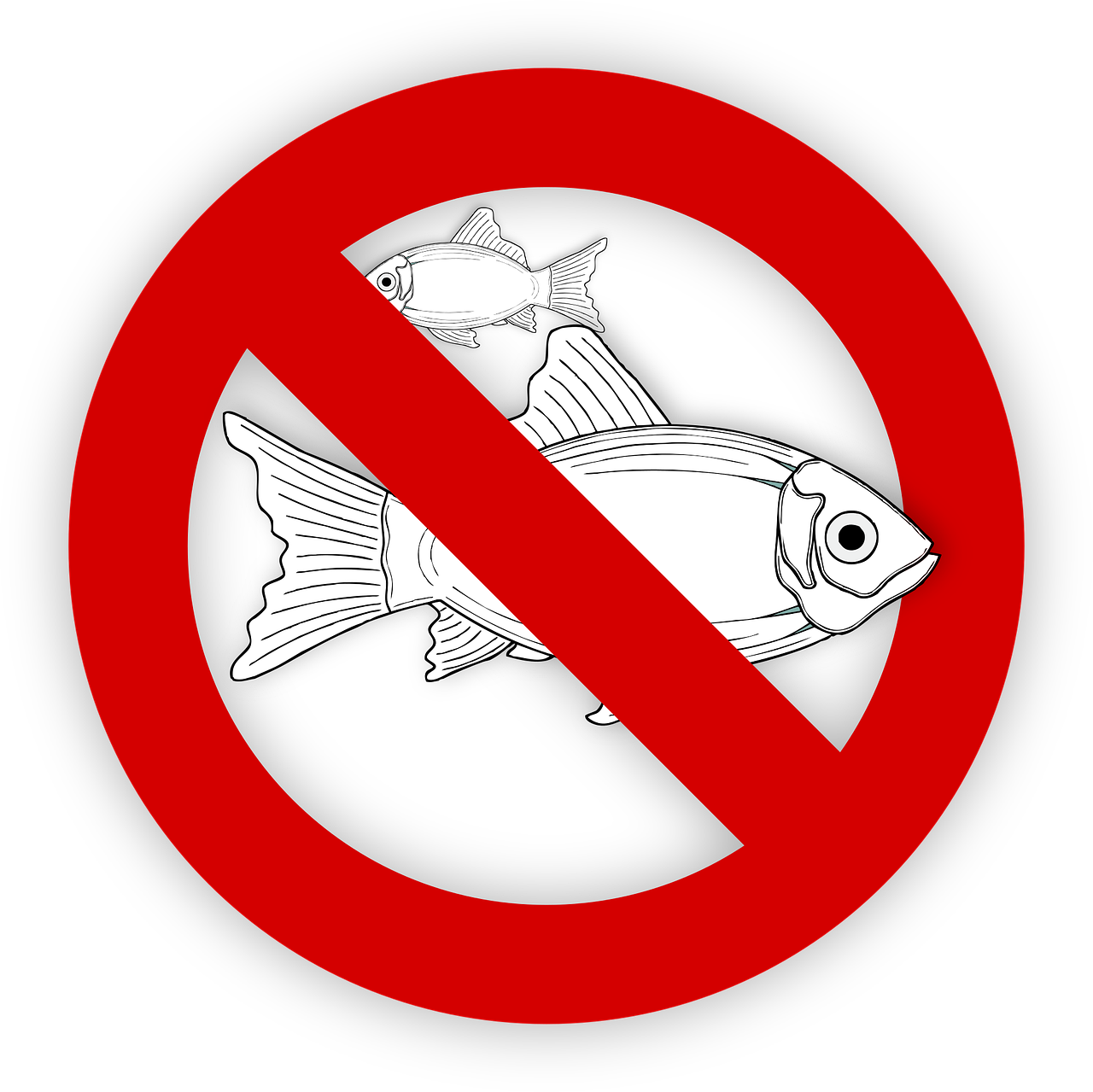 pixabay-995050-455.png